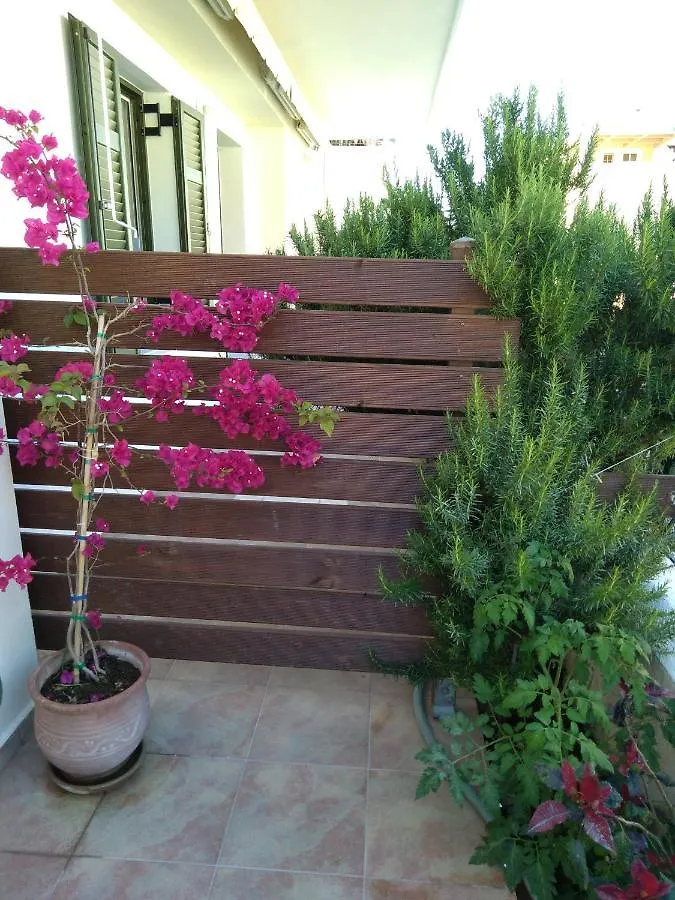 Nostalgia Apartment A In Sami 50 Metres From The Sea Grecia